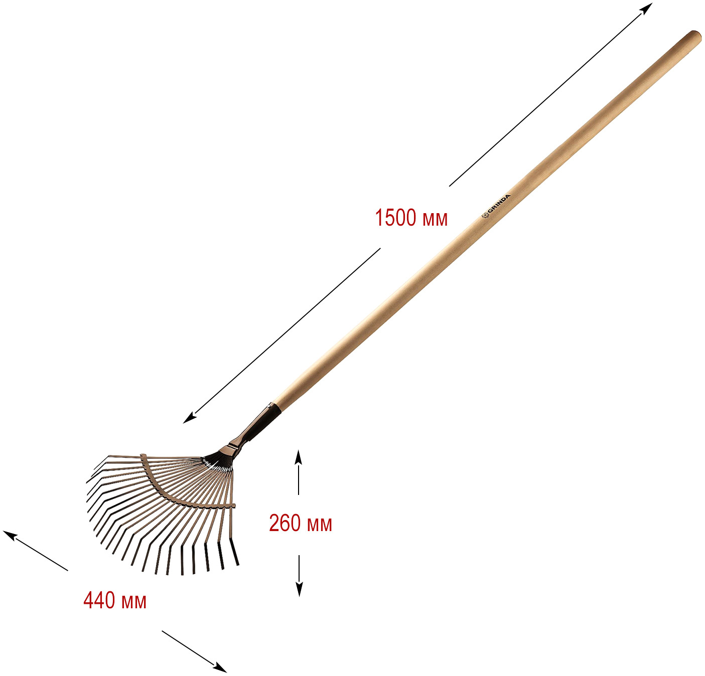 Грабли веерные GRINDA 22 круглых зубца с деревянным черенком — цена в  Орске, купить в интернет-магазине, характеристики и отзывы, фото